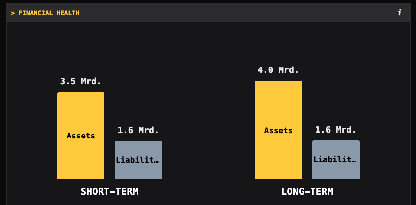 Finanzielle Gesundheit Analyse mit Vermögen und Schulden